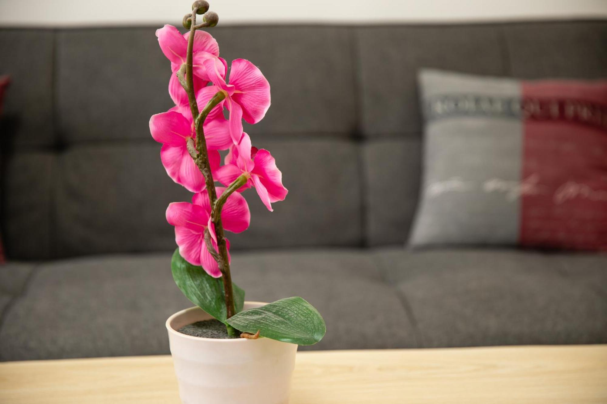 Apartment Rueppgasse Leopoldstadt Wien 외부 사진
